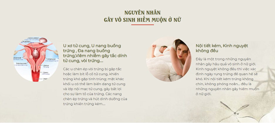 Bộ đôi Hoa Đào Khang, Bồ Công Khang - thực phẩm bảo vệ sức khỏe phụ nữ trước nguy cơ vô sinh